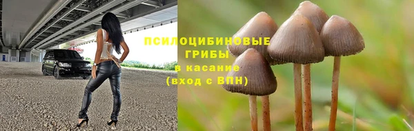 PSILOCYBIN Балахна