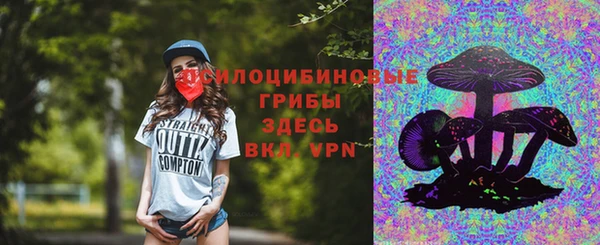 PSILOCYBIN Балахна