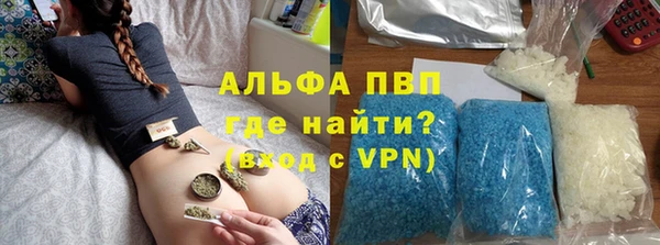 PSILOCYBIN Балахна