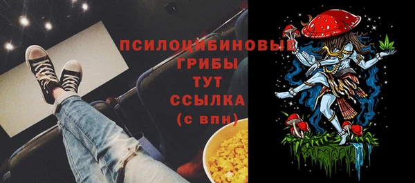 PSILOCYBIN Балахна