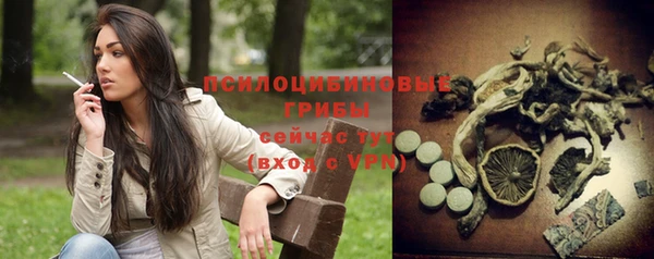 PSILOCYBIN Балахна