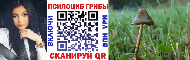 площадка Telegram  где продают наркотики  Печоры  Псилоцибиновые грибы прущие грибы 